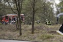 Waldbrand Wahner Heide Troisdorf Eisenweg P425